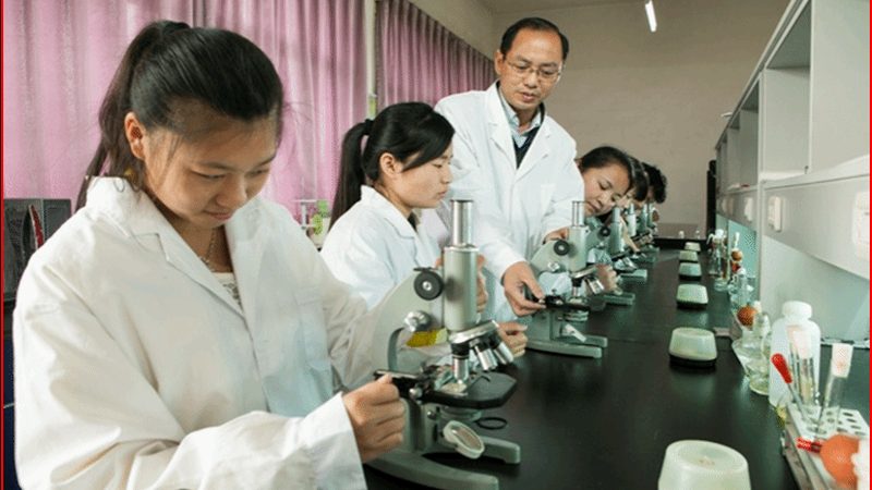 连锁药店如何申领药品经营许可证？关键条件解析**