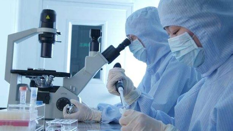 中药提取物保健品原料：规格型号背后的奥秘